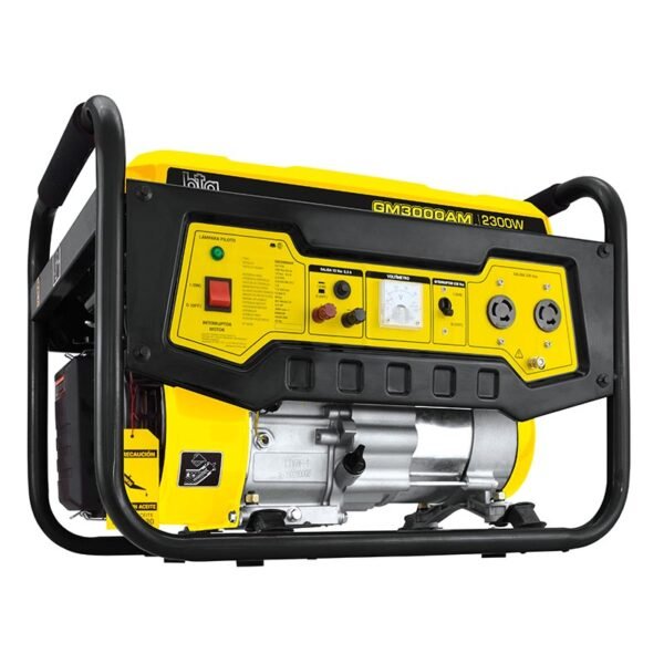 Grupo generador gm3000am